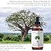 Laritelle Organic Hair Loss Prevention for Men and Women, Strengthening and Rejuvenating, Prevents Hair Shedding, Promotes Hair Growth, Rosemary, Ginger, Grapefruit, NO GMO, Vegan, 4 oz