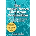 The Vagus Nerve Gut Brain Connection: Heal Your Vagus Nerve and Improve Gut Health