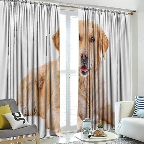 Amazon Com Hengshu Golden Retriever Bloqueo De Luz Gruesa Cachorro De Pedigri Joven Sobre Fondo Blanco Perro De Bebe Dulce Para Sala De Estar Sala De Estar Arena Marron Blanco 1 X 108