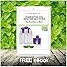 Highest Quality Frosted Glass Roll On Bottles - 1/3oz(10ml) - 6 Pack with Stainless Steel Metal Roll-On Balls - Free Recipe eBook Ideal For Essential Oils, Perfumes, Aromatherapy (Purple Lids)