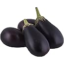 Brinjal