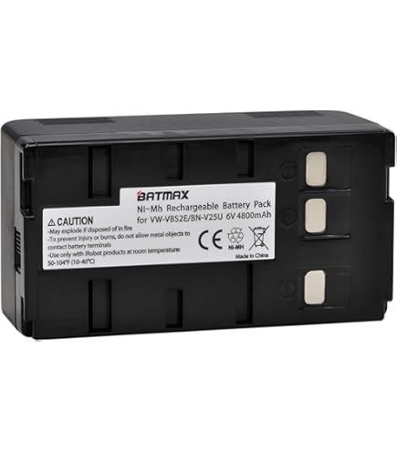 Amazon.com : Kastar High Capacity Camcorder Battery BN-V11U for
