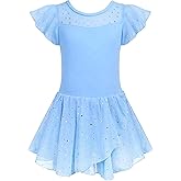 Zaclotre Girls Ballet Leotards Ruffle Sleeve Sparkle Dance Leotard Toddler Ballerina Dress Outfits