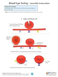 NewPath Blood Type Testing 3D Model Making Kit