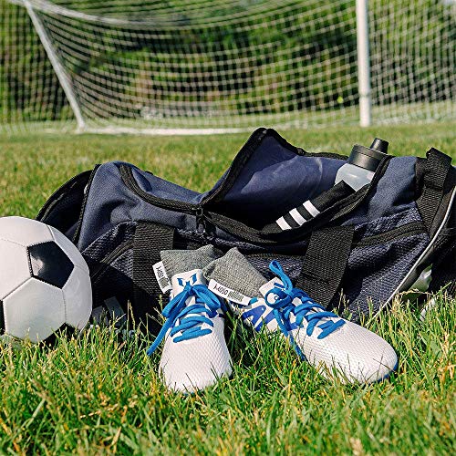 4 Moso+Natural+Purifying+Deodorizer+Eliminator