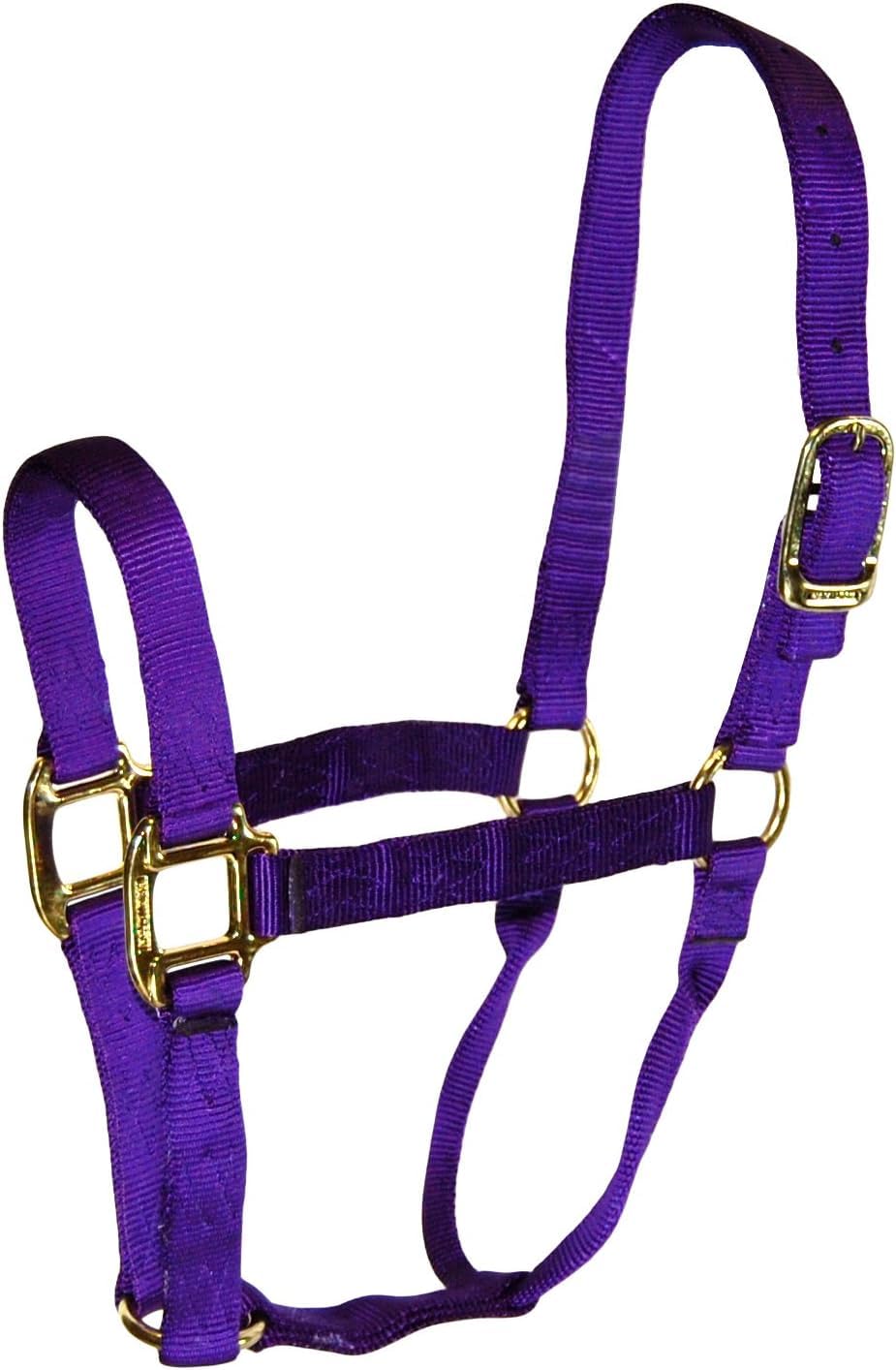 Hamilton 1-Inch Nylon Quality Halter for 800 to 1100-Pound Horse, Average, Purple