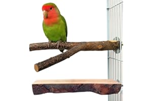 QUMY 2 Pack Parrot Bird Cage Perch Natural Wood Fork Stand Perch Wooden Platform for Parakeets Cockatiels Conures (2Pack)