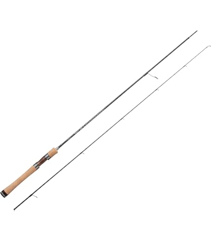 天龍　Rayz integral RZI484S-L Tenryu Rayz Integral RZI484S-L (Spinning 4 Piece)