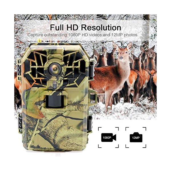 Tierkamera Wildkamera Fotofalle Jagdkamera Spielkameras Trail Wildlife Kamera 12MP 1080P HD Nachtsicht 2 '' LCD Display… – Bild 3