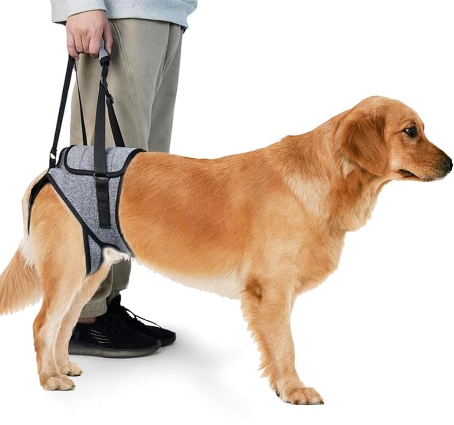 KOMUNJ Lifting Harness Size, Dog Harness for Back Legs, Auxiliary Belt Dog Harness, Rear Legs for Disabled and Injured Elderly Dogs (XL)