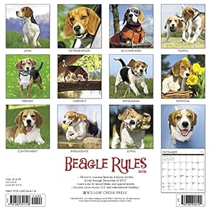 Beagle Rules 2018 Calendar