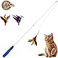 Atlantic Funny Cat Feather Toy Cat Mint Toy Cat Pointer Cat Interactive Toy