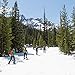 MSR Shift Youth Snowshoes for Teens and Young Adults (Pair), Tron Blue, 19