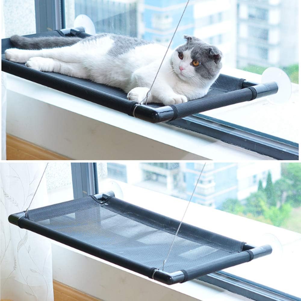 cat window perch suction cups