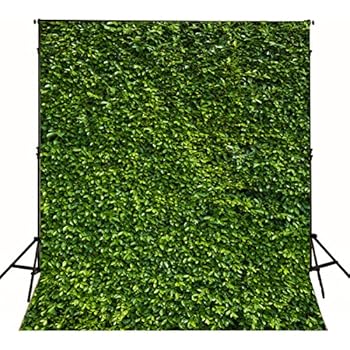 Amazon.com : Green Leaves Wall Photo Studio Backdrops