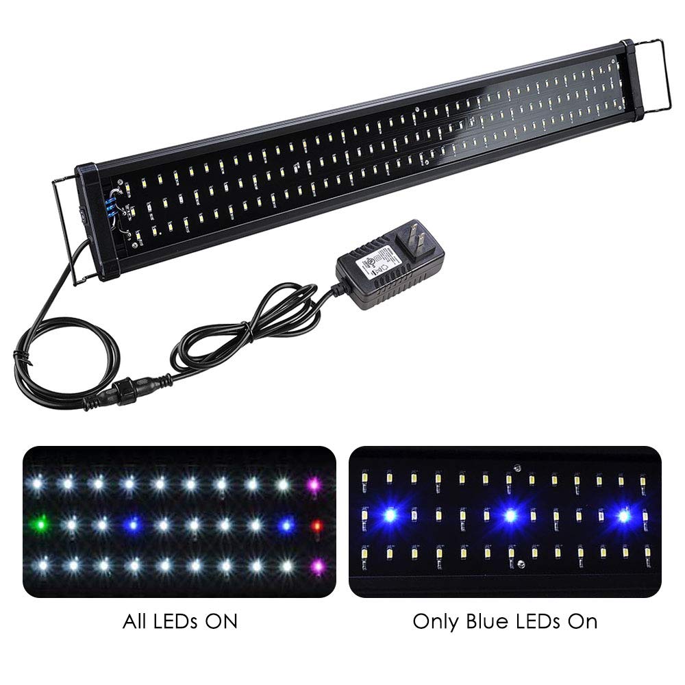 Best Coral Led Lighting For Saltwater Aquarium