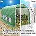 BenefitUSA Multiple Size Large Greenhouse Walk in Outdoor Plant Gardening Hot Greenhouse (16'x7'x7')
