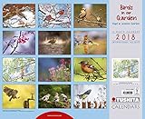 Birds in our Garden (180668) by 