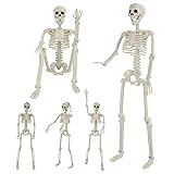 5 Pack Halloween Skeleton Decorations, 2 Pack