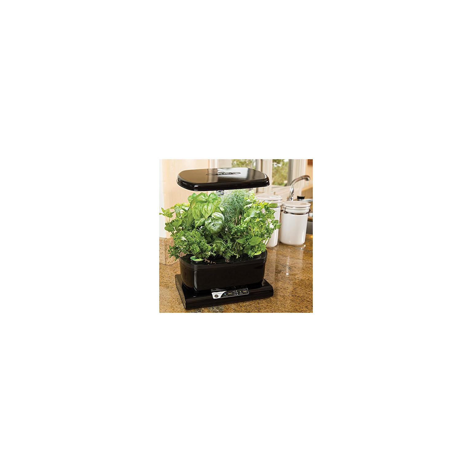 Comprar AeroGarden Harvest - Kit de cultivo interior smart garden, 6