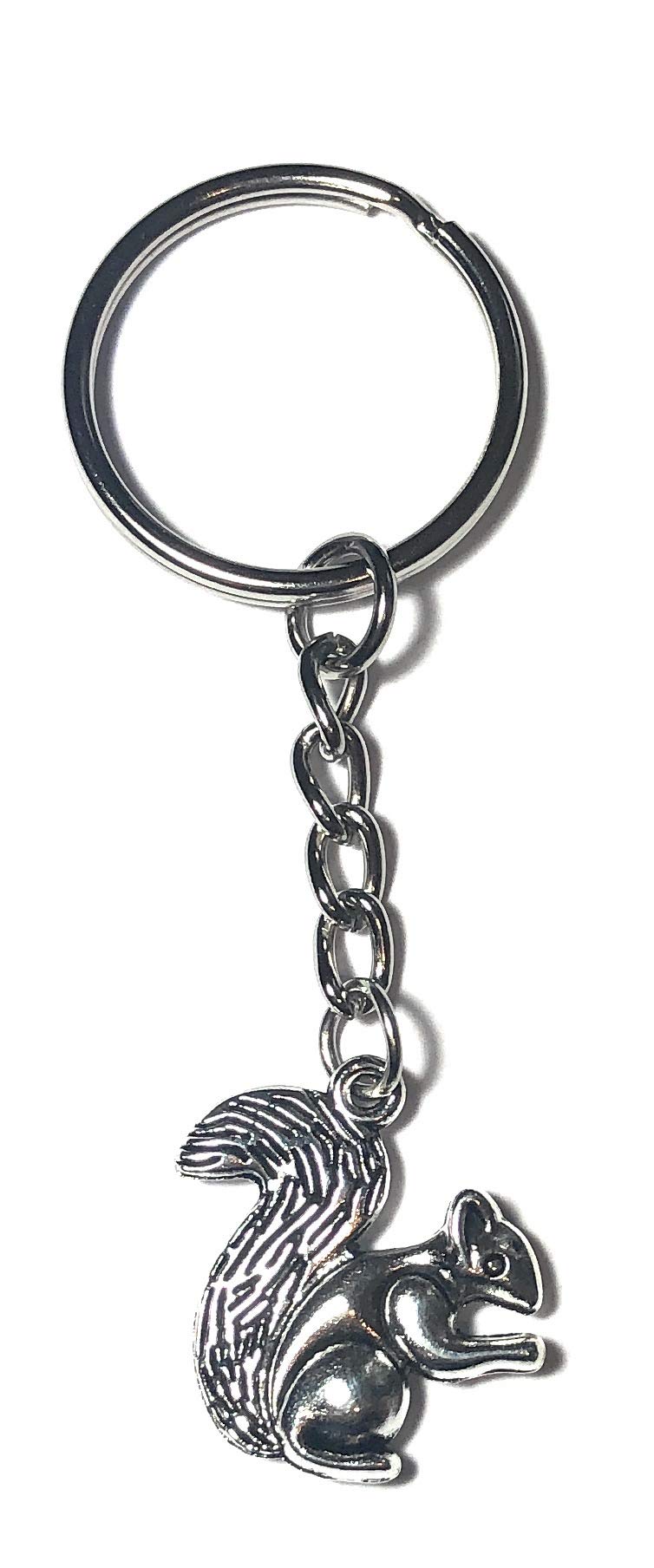 FizzyButton Gifts Squirrel Charm Keyring Key Ring with Silver Tone Keychain
