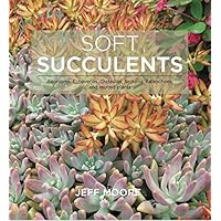 Soft Succulents: Aeoniums, Echeverias, Crassulas, Sedums, Kalanchoes, and related plants