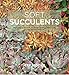 Soft Succulents: Aeoniums, Echeverias, Crassulas, Sedums, Kalanchoes, and Related Plants by