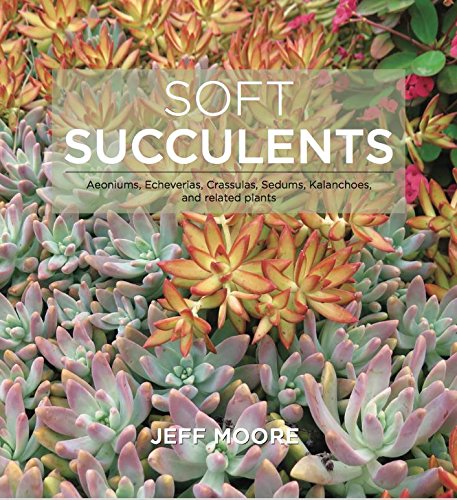 Soft Succulents: Aeoniums, Echeverias, Crassulas, Sedums, Kalanchoes, and Related Plants by Jeff Moore
