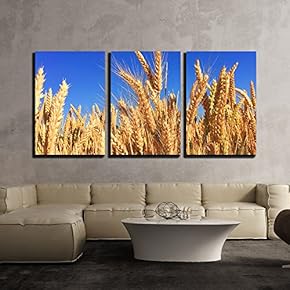 3 Piece Canvas Wall Art - Wheat Field Under Blue Sky - Modern Home Art Stretched and Framed Ready to Hang - 16"x24"x3 Panels