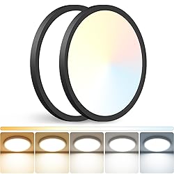 Peasur 12 inch LED Ceiling