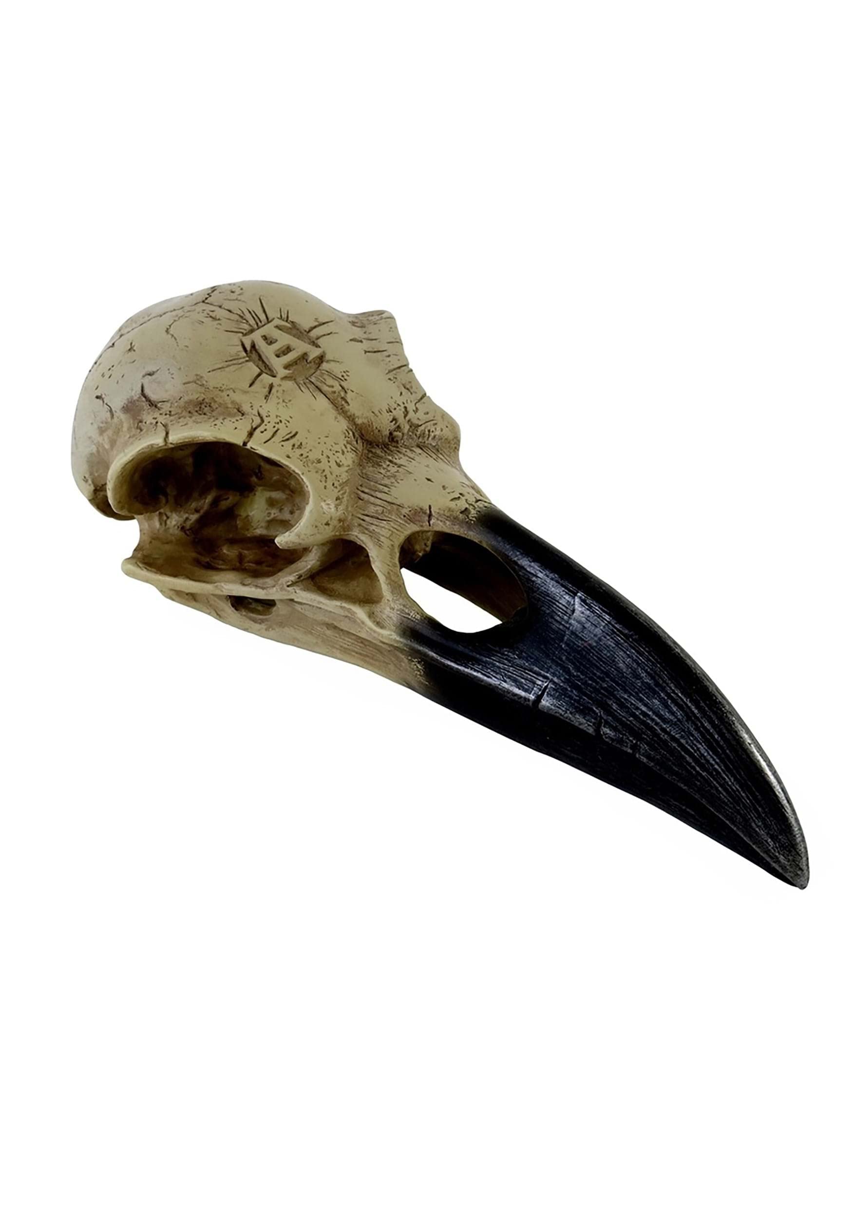 Corvus Alchemica Raven Skull by Alchemy
