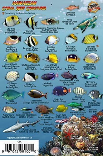 Hawaii's Fishes : A Guide for Snorkelers and Divers: John P