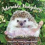 Adorable Hedgehogs 2018: 16-Month Calendar September 2017 through December 2018 by Huffy Hedgehogs