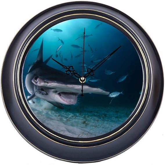 14 Inch Large Silent Non Ticking Wall Clock Hammerhead