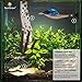 SunGrow Betta Bed Kit, 4-6 Inches Long, A Funky Bed for Your Betta Fish, Comfortable Hammock, from Selected Indian Almond Tree Leaf, Simulating Betta's Native Habitat, 6 Beds + 2 Suction Cups