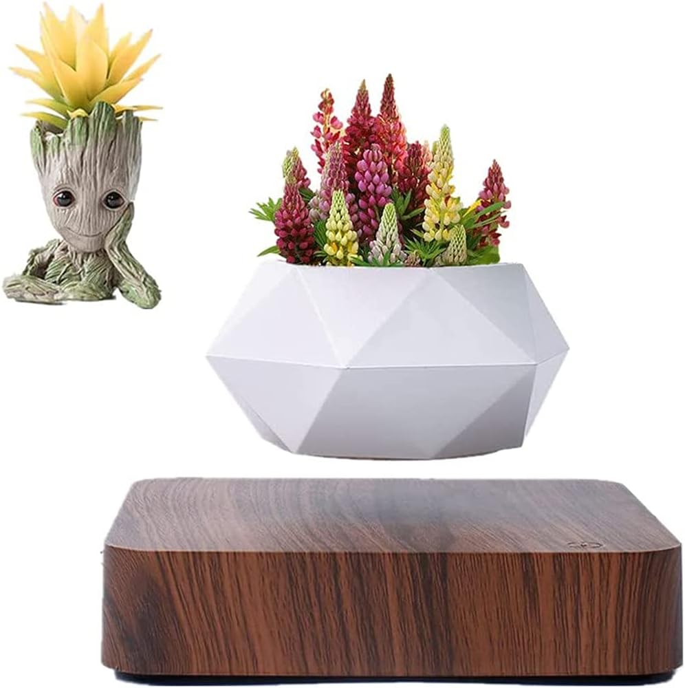 Levitating Plant ,Levitating Air Bonsai Pot, Rotation Flower Pot Planters, Prsent Floating Plant Pot for Home Office Display Decoration GCM