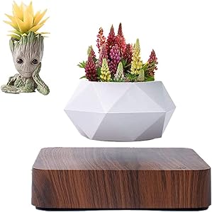 Levitating Plant ,Levitating Air Bonsai Pot, Rotation Flower Pot Planters, Prsent Floating Plant Pot for Home Office Display Decoration GCM