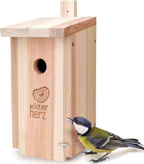 Nichoir Oiseaux Exterieur Pour Menagere Charbonniere Co Maison Oiseaux Nichoir En Bois Nichoir Mesange Niche Oiseaux Exterieur Avec Trou De 32 Mm Amazon Fr Animalerie