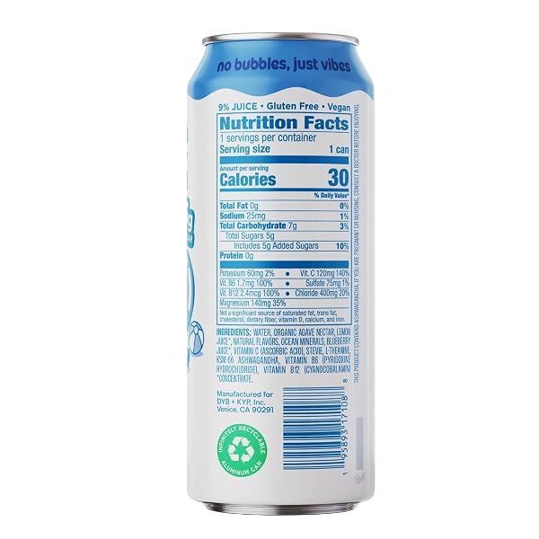 LEISURE HYDRATION, ELECTROLYTE REFRESHER WILD BLUEBERRY, 16 FL OZ