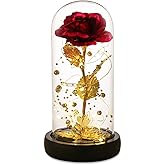 Valentines Day Gifts for Her,Valentines Gifts for Women,Flowers for Delivery Prime,Flower Galaxy Artificial Flower Light Up Rose in A Glass Dome,Anniversary Mothers Day, Birthday Gifts