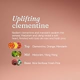 Miniml Antibacterial Hand Wash 5L Refill Natural Clementine Scent view 5