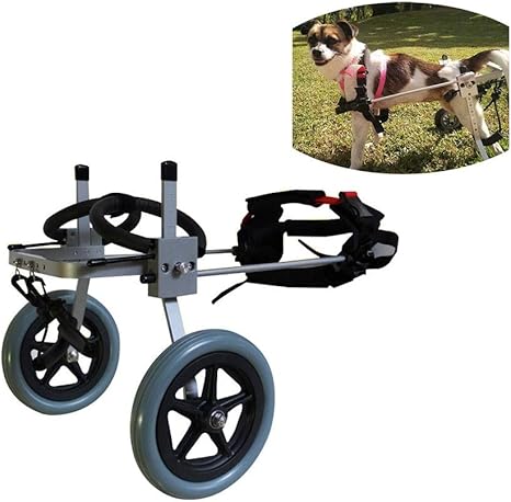 silla de ruedas para perros amazon