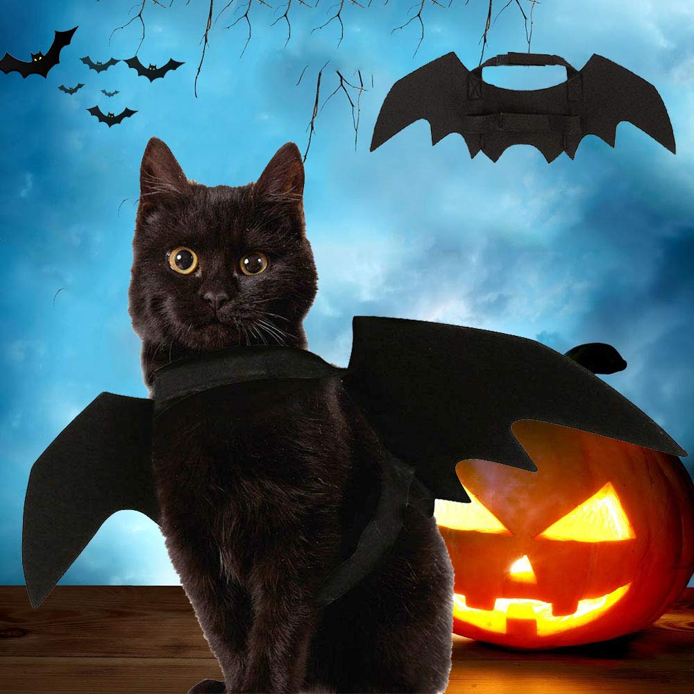 Ausein Halloween Pet Bat Wings Costume for Cat Dog, Cat Kitty Bat Wings Costume Dress up Cat Kitty for Halloween Festival- Black
