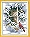 YEESAM ART New Cross Stitch Kits Advanced Patterns for Beginners Kids Adults - Cat And Birds 11 CT Stamped 39×47 cm - DIY Needlework Wedding Christmas Gifts