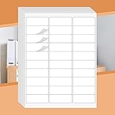 Tapsin 1" X 2-5/8" 30 Up Mailing Labels for Laser/Inkjet Printer,Address Labels,Thermal Labels for Printer,Shipping Mailing Labels (100 Sheets - 3000 Labels)