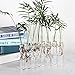 Ivolador 8 Crystal Glass Test Tube Vase Flower Pots for Hydroponic Plants Home Garden Decoration