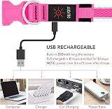 YFbrite Light Up Dog Collar Rechargeable LED Pink Large view 3