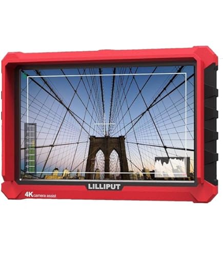 Amazon.com : LILLIPUT BM120-4KS 12.5