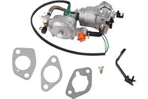 Dual Carburetor Conversion Kit for XP10000EH Generator, Natural Gas Adapter for 10000W 18HP Engine, Propane Methane System Pa
