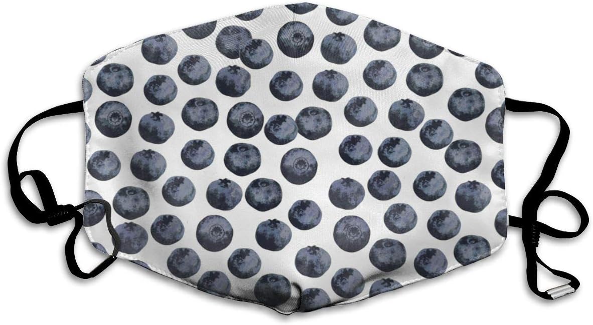 Blueberry Fruit Pollution Mask for Men Women, Reusable Air Filter Mask with Adjustable Ear Loops Perfect for Blocking Pollution Dust Pollen and Germs
